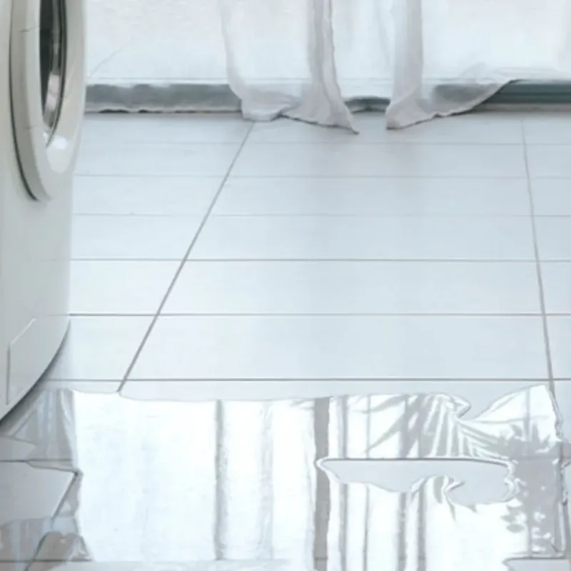 Appliance Leak Cleanup in Plymouth, ME