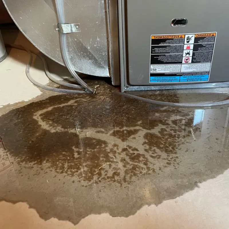 Pipe Burst and Leak Restoration in Plymouth, ME
